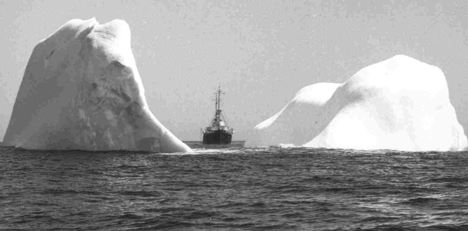 Iceberg